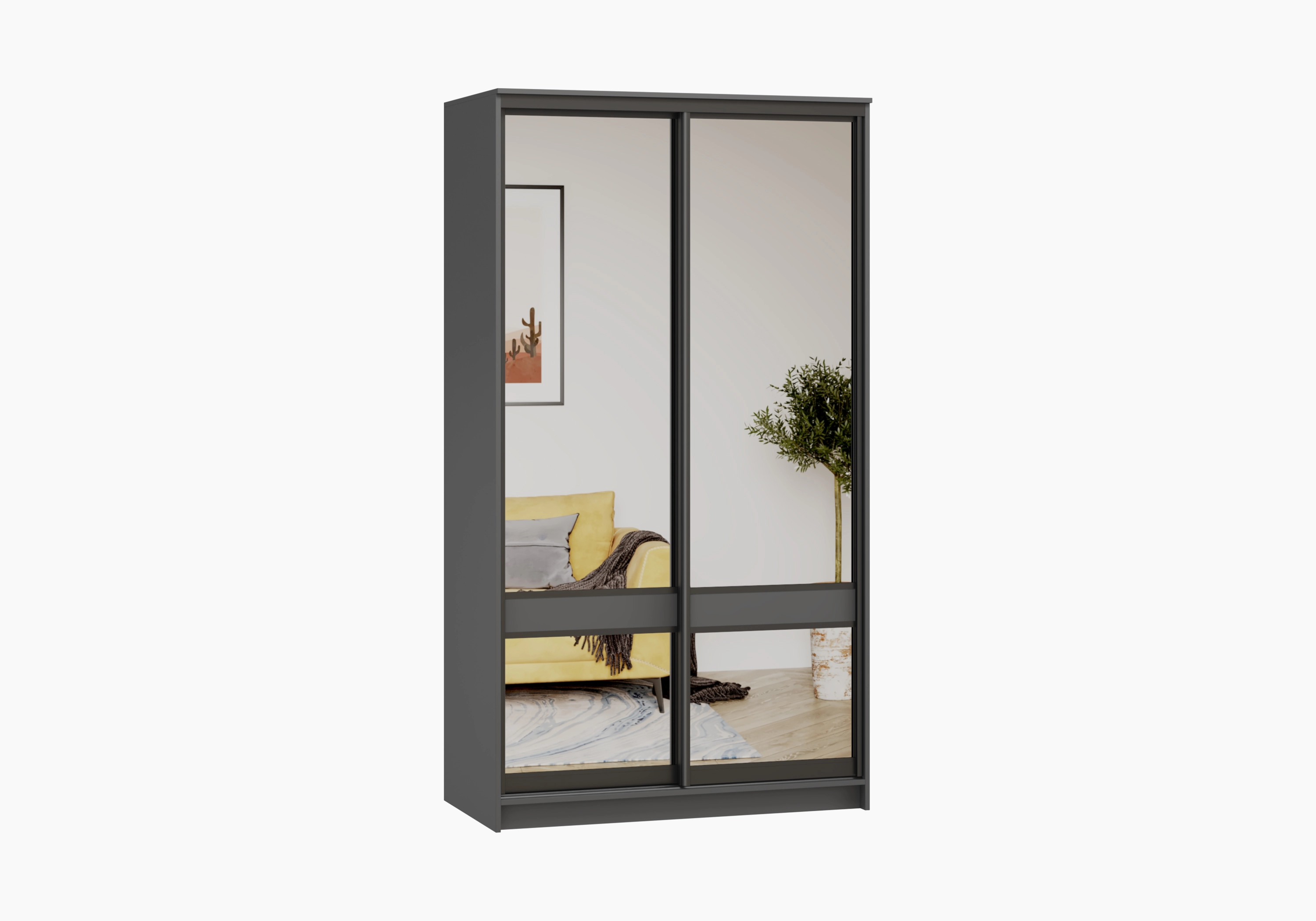 Шкаф-купе Дельмар-2