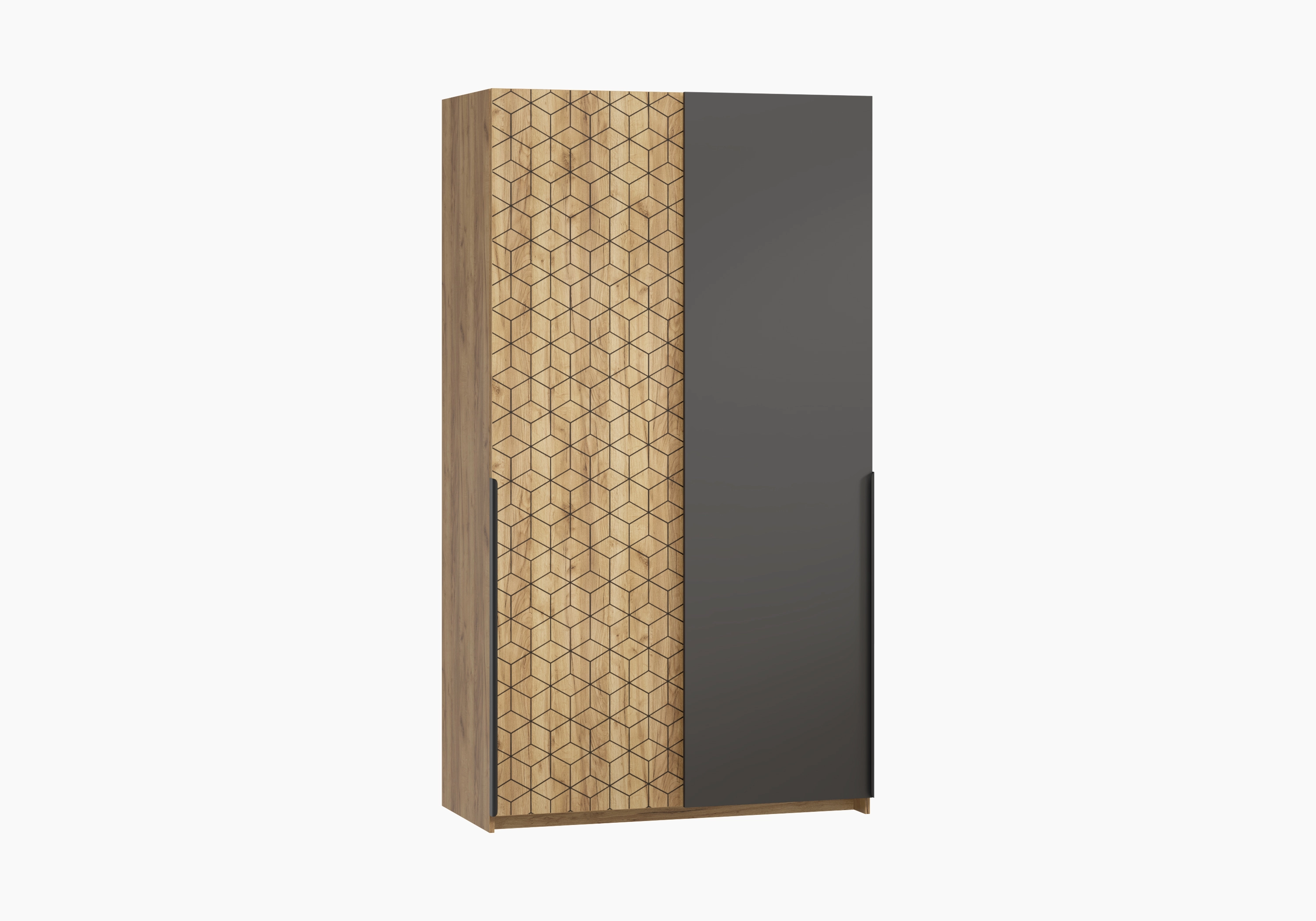 Шкаф-купе Салленс-2-3 Декор 2