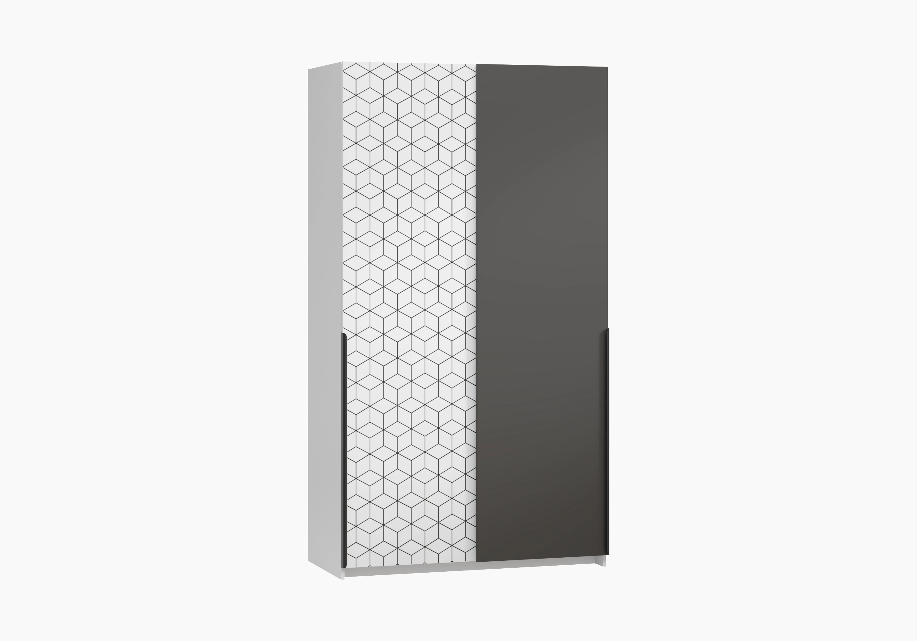 Шкаф-купе Салленс-2-3 Декор 2