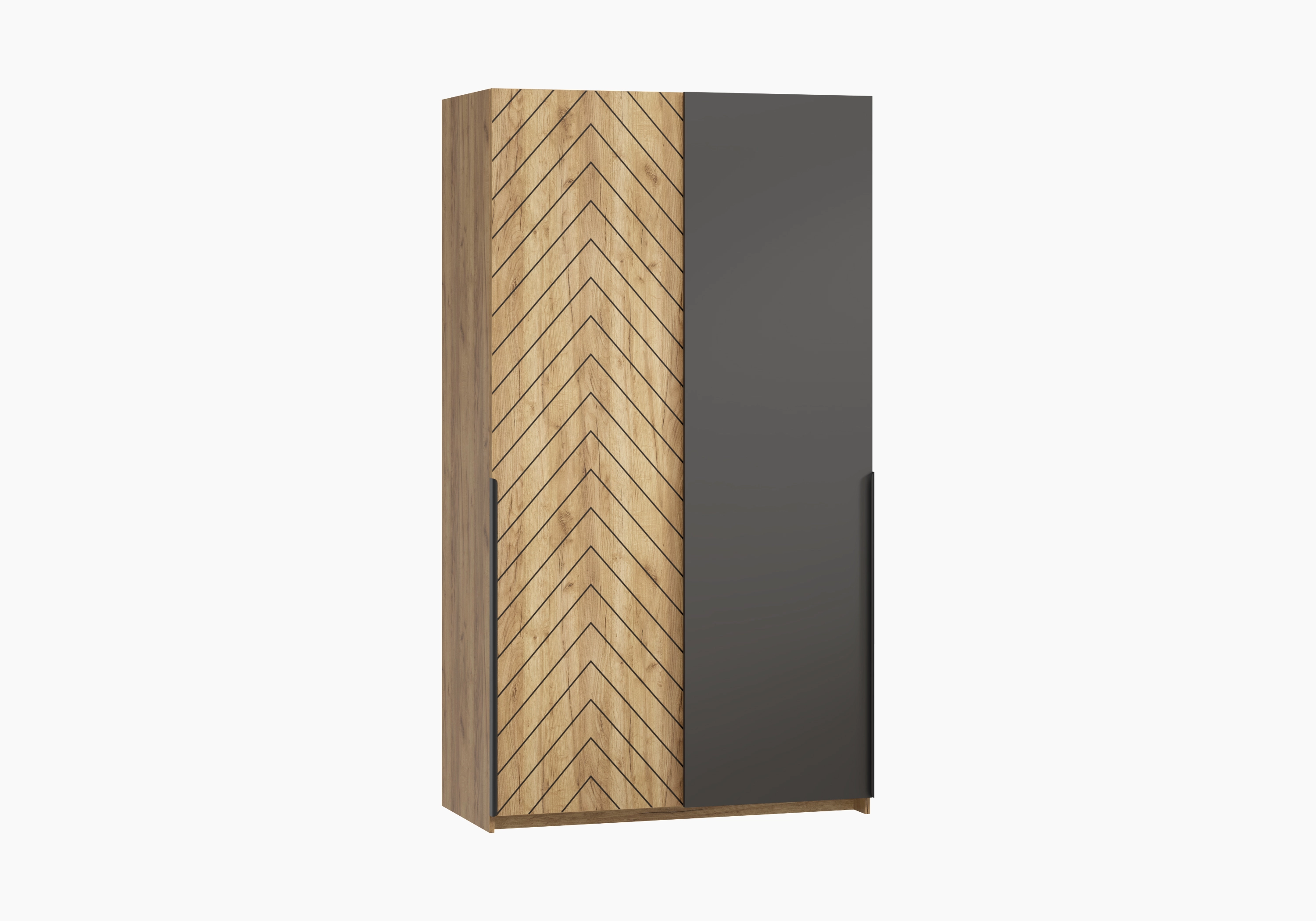 Шкаф-купе Салленс-2-3 Декор 1