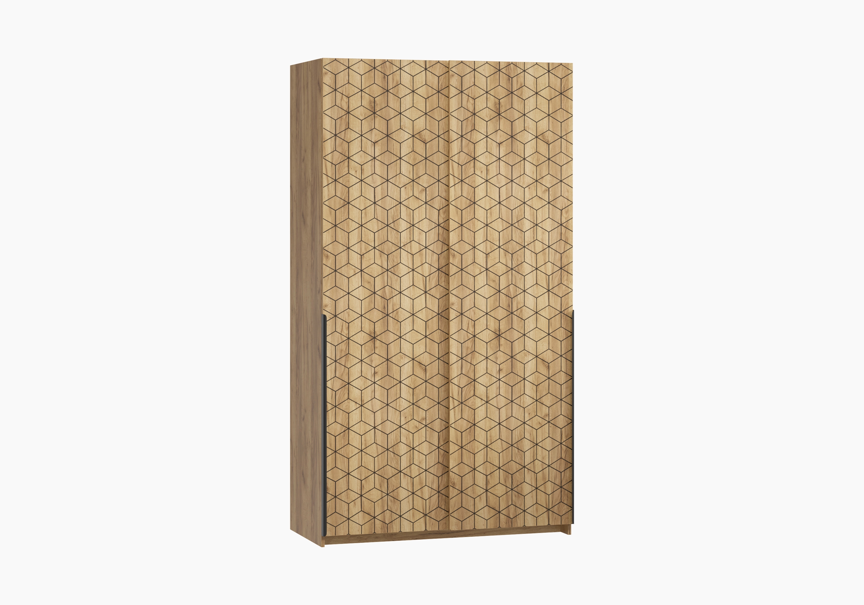 Шкаф-купе Салленс-2-1 Декор 2