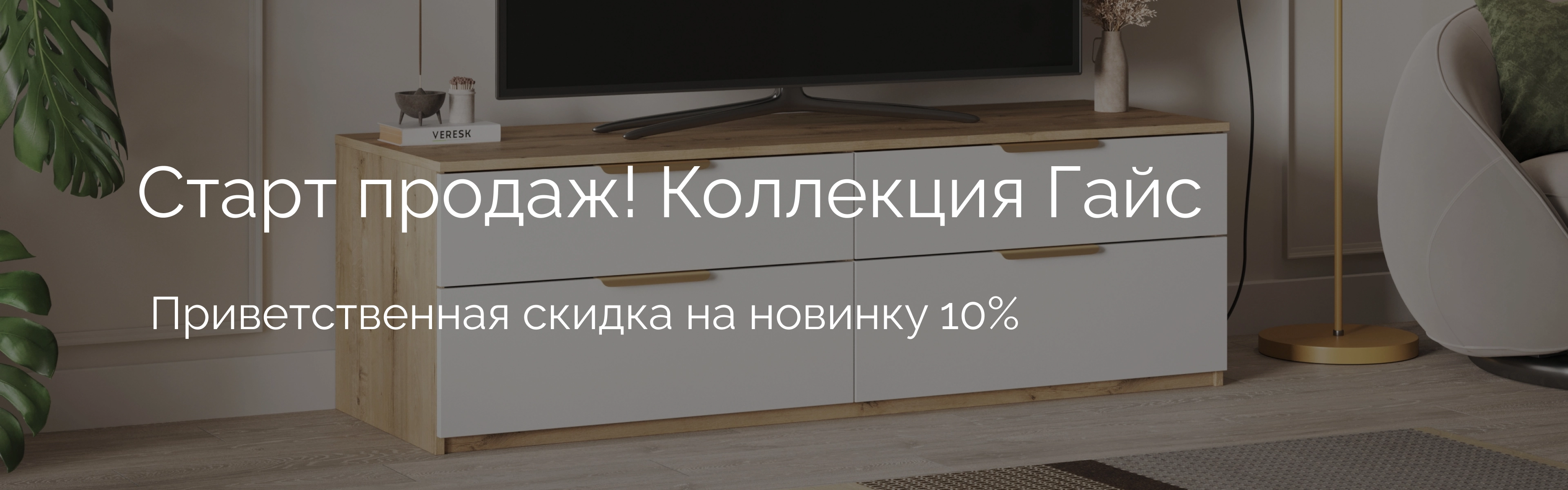 promo-banner