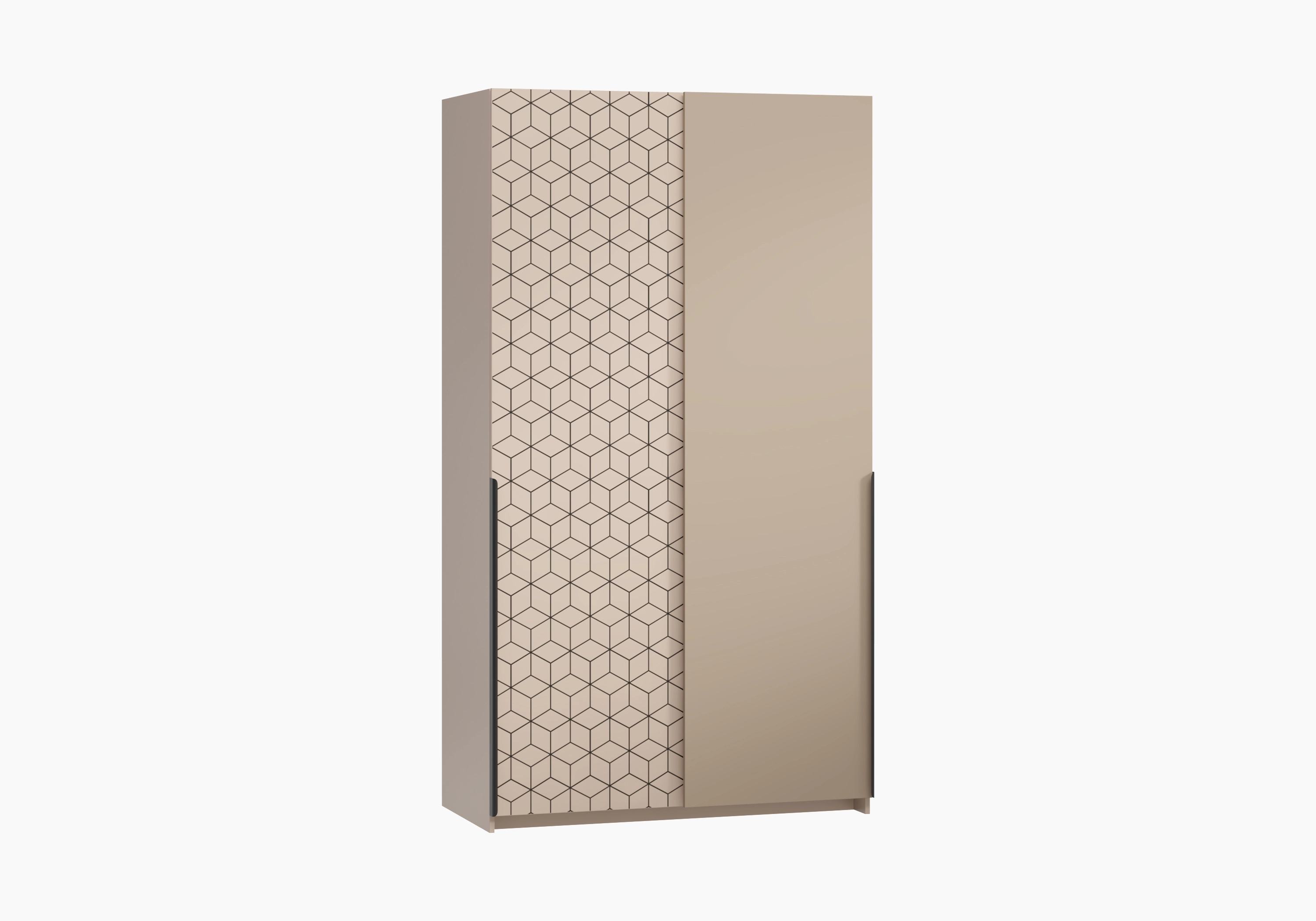 Шкаф-купе Салленс-2-3 Декор 2