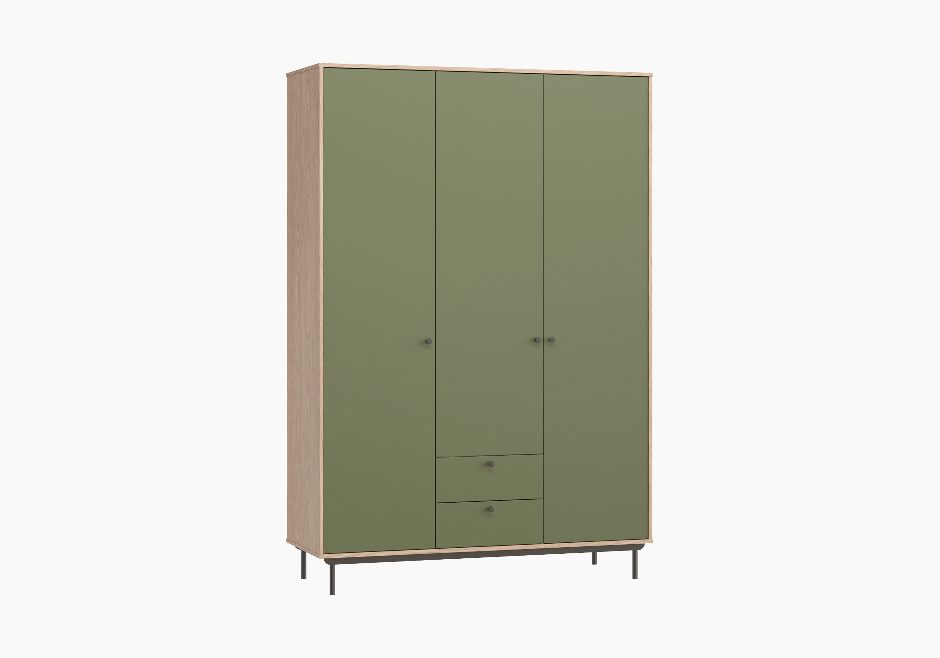 Распашной шкаф Истман-3.2 Флекс