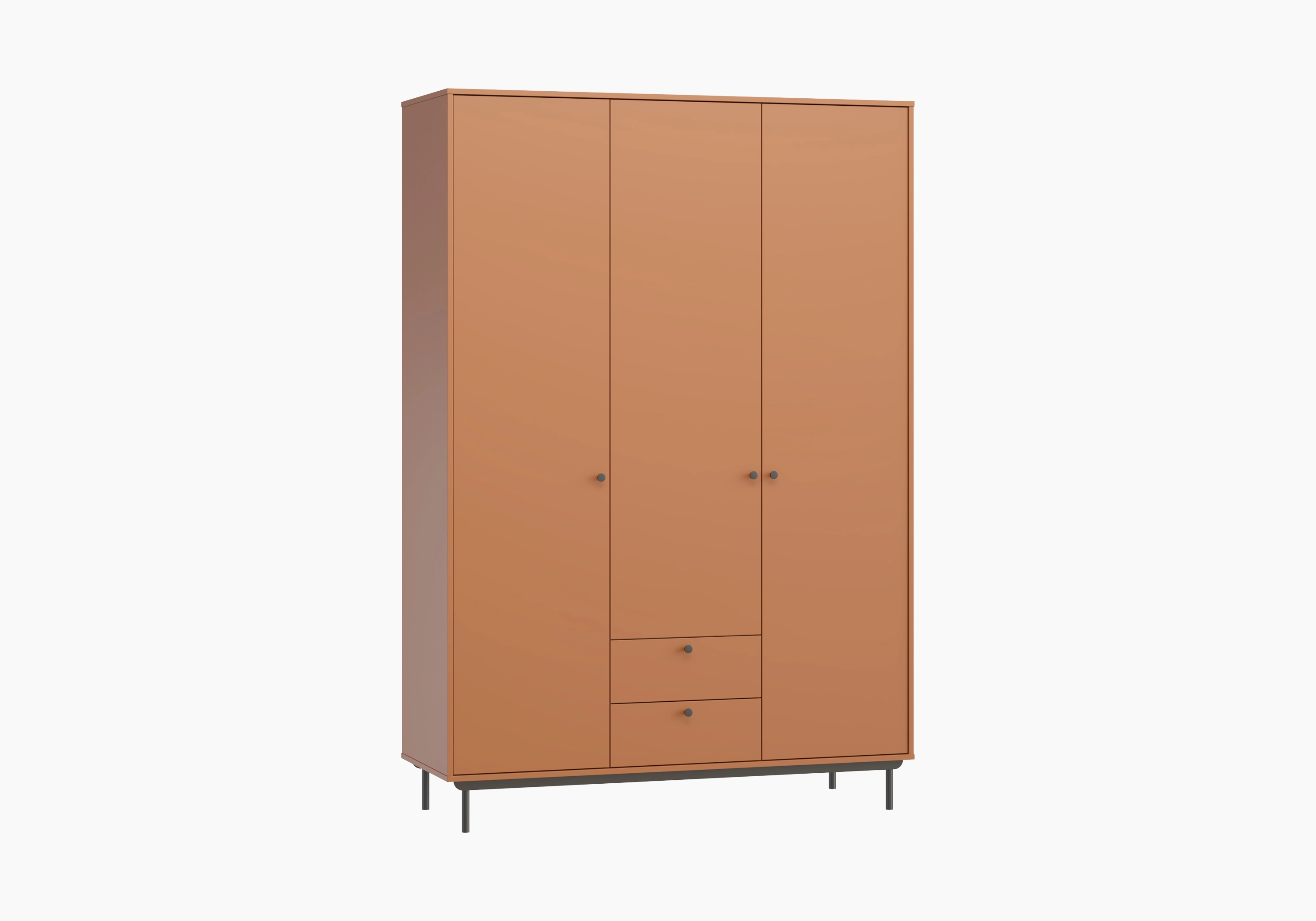 Распашной шкаф Истман-3.2 Флекс