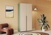 Распашной шкаф Салленс-2 Премиум - фото №1