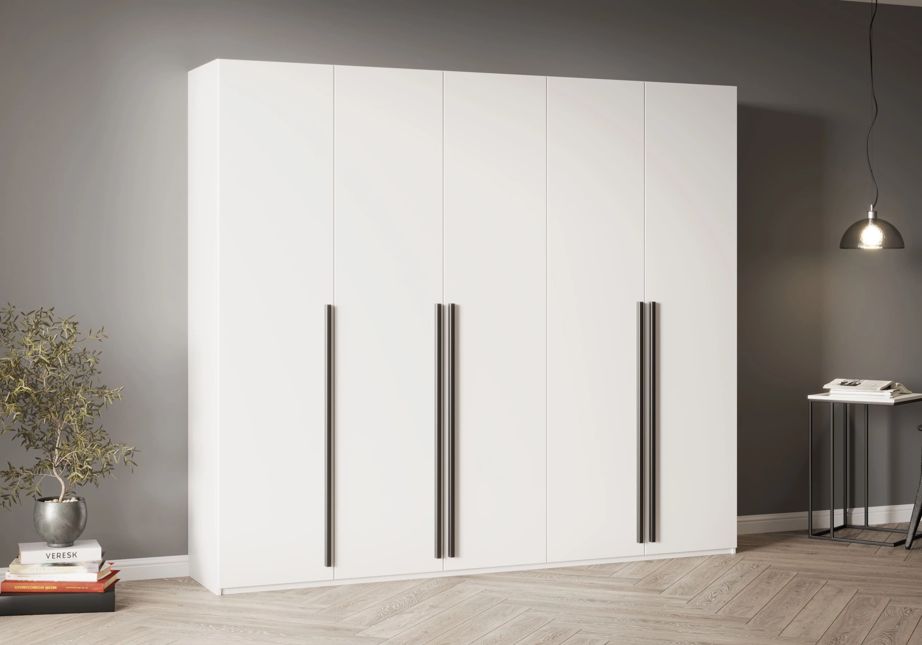 Распашной шкаф Лорэна-5.1